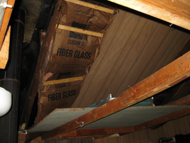 especiallyundertheroof.jpg