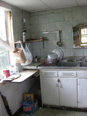 whataboutthekitchenherestheoldview.jpg