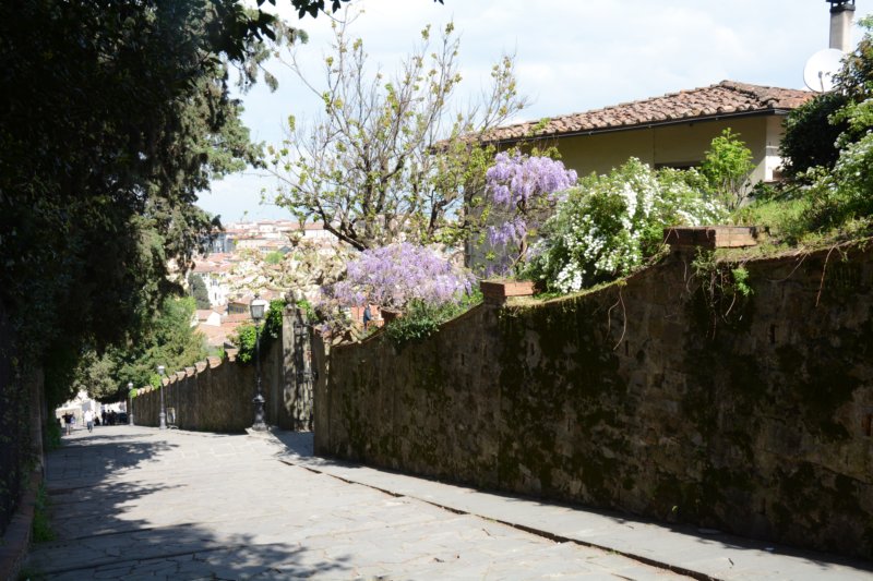 onthewaytothepiazzalemichelangelo.jpg