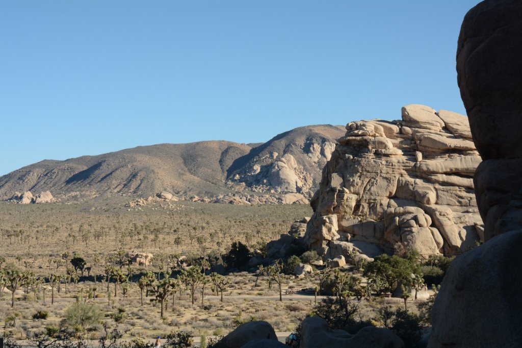 dsc_0106.jpg