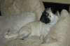 dsc_0047a_small.jpg