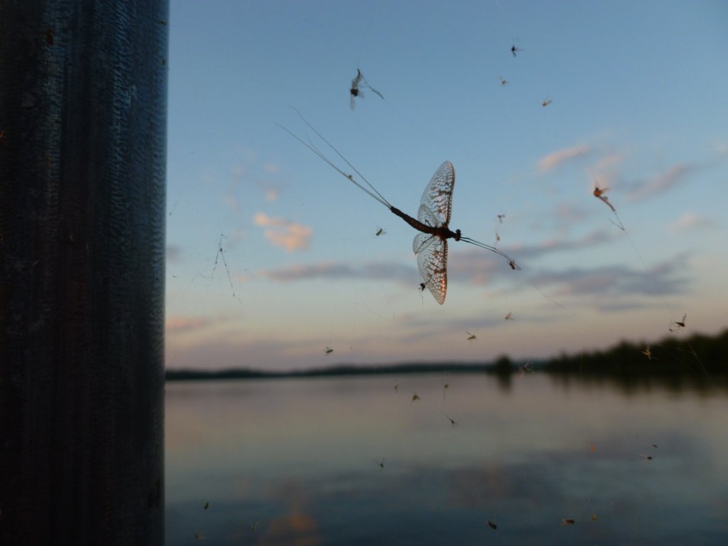 p1040344.jpg