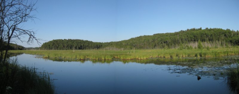 beaverpondoffmudcreekroad.jpg